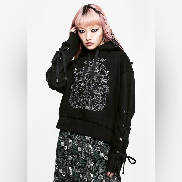 Disturbia Angitia Embroidered Crop Hoody US 2 / UK 6 - Picture 1 of 8